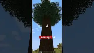 Bone Powder EXPERT Reveals Giant Spruce Tree Growth Secret! - Mınecraft #shorts #minecraft
