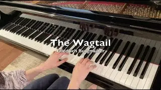The Wagtail (La Bergeronnette) by Friedrich Burgm&uuml;ller