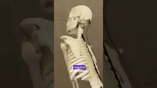 Она должна знать, что не может оставить меня за главного! #придурки