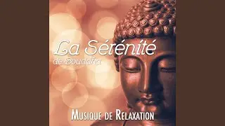 Spa Music Collection