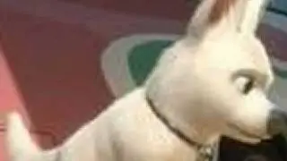 Fight Special: Battle of the Super Dogs