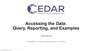 2025 User Workshop &ndash; 3.2 &ndash; Accessing CEDAR Data: Query, Reporting & Examples & Section 1 Q&A