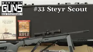 World of Guns: Guns Disassembly #33 | Steyr Scout