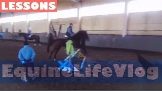 Jumping RAWs after a break / EquineLifeVlog | lessons