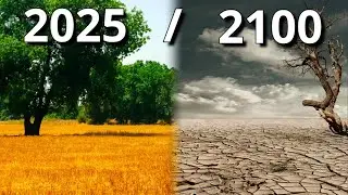 The Global Water Crisis: Why the World is Running Dry