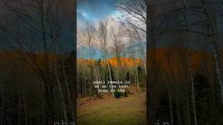 The last morning on earth. The reflection of the sunrise on the mountain. #human #shorts #poetry