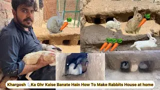 Khargosh 🐇🐇 Ka Ghr Kaise Banate Hain How To Make Rabbits House at home