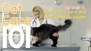 Cat Care 101 Episode 6 &ndash; Veterinary Care and Preventative Health