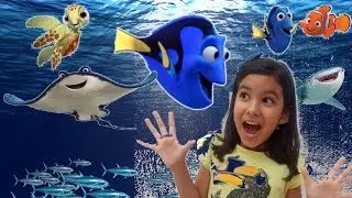 ENCONTRE a DORY! Visitando el Acuario P1
