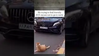 Me trying to find literally ANY excuse not to go to work&hellip;
