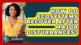 How Do Ecosystems Recover After Major Disturbances? - The Student Atlas