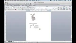 How to Merge a Word Document & an Excel Sheet Together : Microsoft Office Tips