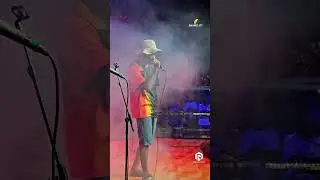 SIPRIAN | JAMMIN | PLUG 19  - Who Knows | Protoje & Chronixx Cover | 🇸🇧🌴🎵
