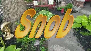 Hindu the Verbally Intelligent - Snob (official video)