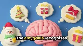 Festive Overwhelm Explained: What Our Nervous System Is Really Doing