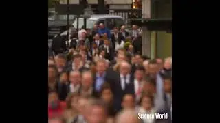 Theory Of Spontaneous Generation | #ScienceWorld