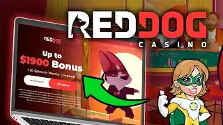 Red Dog Casino Review 2024 | Is it Legit or a Scam? 🤔