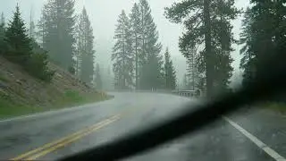 Dark rainy road in the woods &ndash; atmospheric visuals