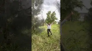 Foraging for wild herbs #foraging #herbalism #naturalmedicine