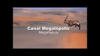 NAMIBIA (El Desierto del Namib)