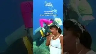 🛑 Recuerda: &iexcl;No toques la vida marina! 🛑