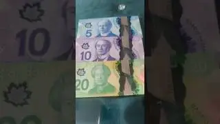 5$ 10$ 20$ Canadian Dollar Notes | Foreign Currency Collection #notes #bill #currency