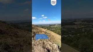 British Man Films Dog Playing Fetch as Strange Object, Possibly UFO, Flashes Across Sky