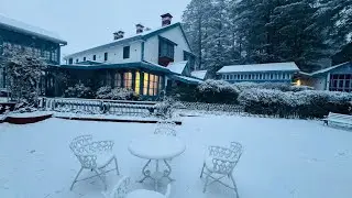 पहली बर्फबारी के बाद शिमला की खूबसूरत तस्वीरें देखिए... ये नजारा आपका दिल चुरा लेगा...