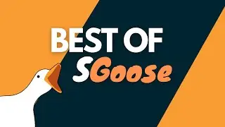 SGoose BEST OF 2020
