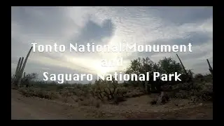 Tonto National Monument & Saguaro National Park | Arizona