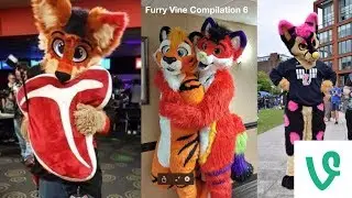 Furry Vine Compilation #6 100+ Vines 2017 Ft Rainy Chaos, Kero The Wolf, Telephone and More