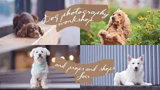 DOG photography WORKSHOP behind the scenes + props & shops FAIR Netherlands 2019