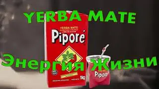 Лучший мате Pipore