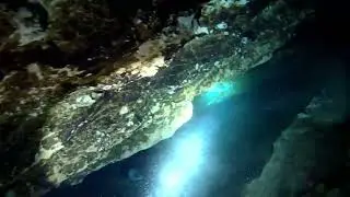 Fossils to tank restriction