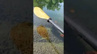 Clear Clinch River
