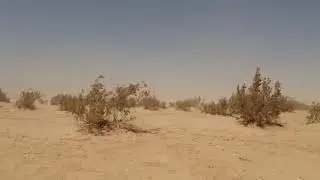 Happy-desert-trips ( jdaid)