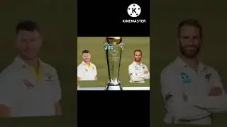 David Warner vs Kane Williamson in Test comparison #Cricket Shorts