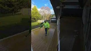 Algae ridden composite decking clean up