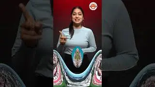 💥Top 5 BBA colleges in Dehradun 2024 💥 || Colleges || Admission ||  Fees || Placement