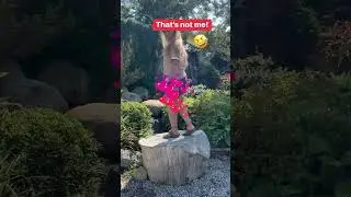 Dancing on top of the world 🌟😂 #JoyfulMoves #WoodenStageDance #HappinessInMotion #funny  #shorts