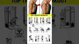 Get TONED Triceps in Just 10 Minutes a Day