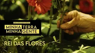 My Land My People - King of Flowers