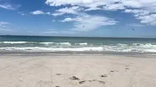 Listen to the Waves 🌊 Windy Pukehina Beach | Peaceful Nature Sounds (5 Minutes)
