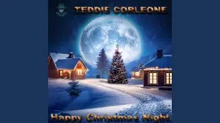 Festive Nights