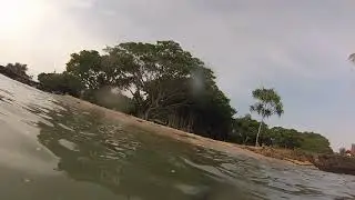 Snorkeling in Reeds Bay, Hilo, Hawai'i