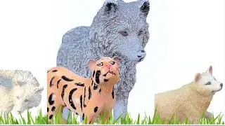 Wild Friends S1 E3