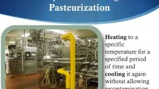 Milk Packaging Process