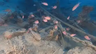 Genova, scoperto il relitto di un galeone del '500 al largo di Camogli