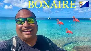 BONAIRE 🇧🇶/ LUGARES PARA VISITAR 🦩🦩