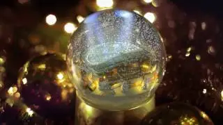 Jingle all the way to Aviva Stadium this Christmas | Leinster v Northampton
